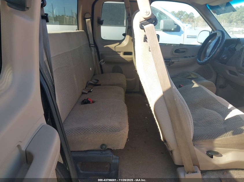 1999 Ford F-150 Work Series/Xl/Xlt VIN: 1FTZX1723XNA76387 Lot: 43796081