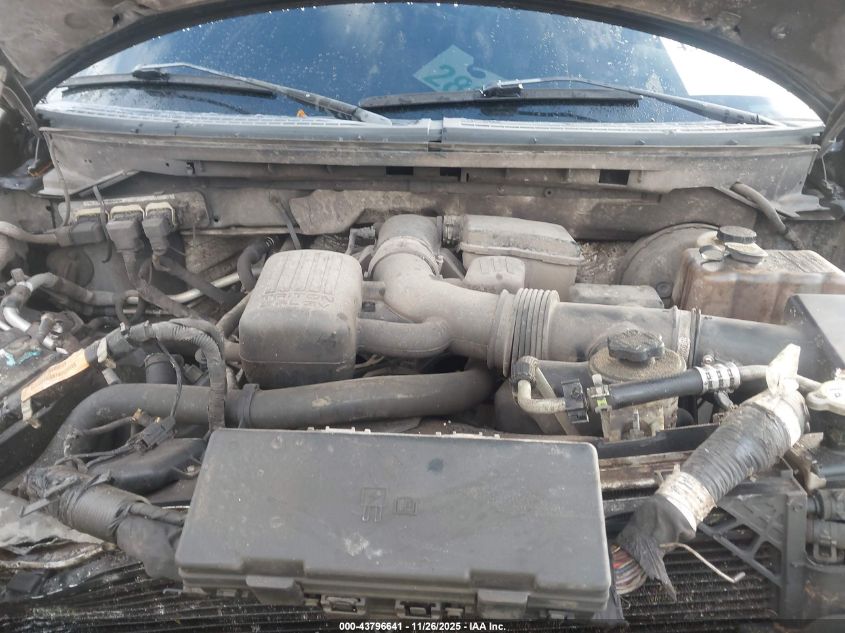 2009 Ford F-150 Fx4/King Ranch/Lariat/Platinum/Xl/Xlt VIN: 1FTPW14V69FA24242 Lot: 43796641