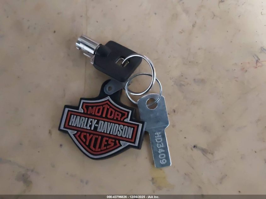 2004 Harley-Davidson Flstf VIN: 1HD1BMY314Y026262 Lot: 43796826