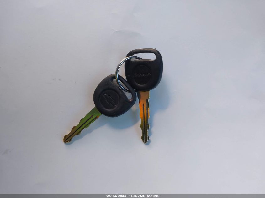 2004 Chevrolet Trailblazer Ls VIN: 1GNDT13SX42295069 Lot: 43796869