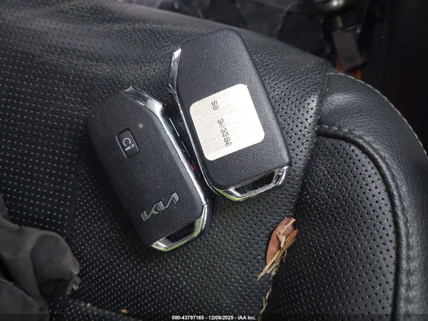 2022 Kia Telluride Ex VIN: 5XYP3DHC1NG303396 Lot: 43797165