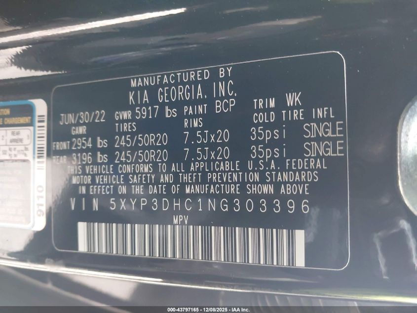 2022 Kia Telluride Ex VIN: 5XYP3DHC1NG303396 Lot: 43797165