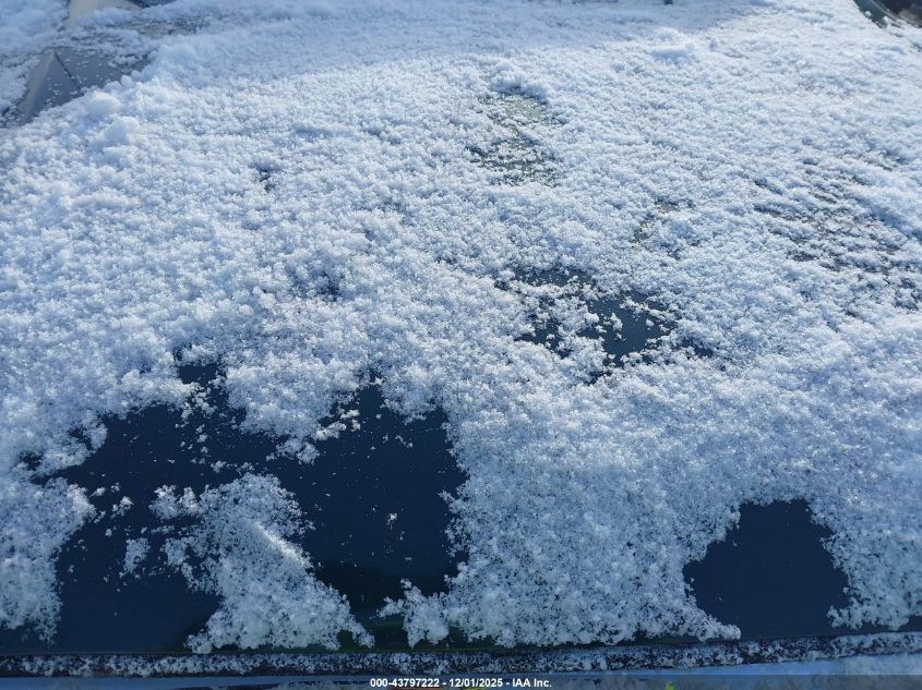 2002 Toyota Tacoma VIN: 5TEPM62N02Z081728 Lot: 43797222