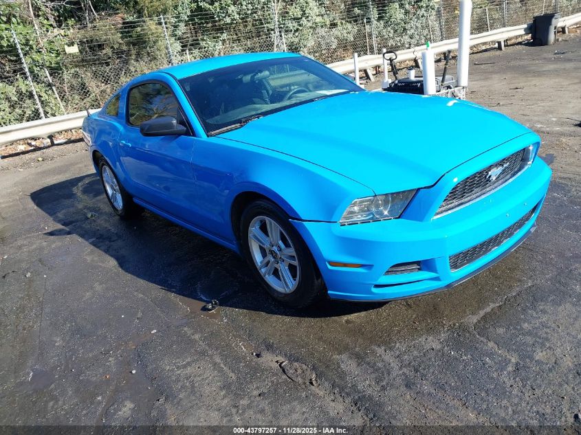 FORD MUSTANG V6