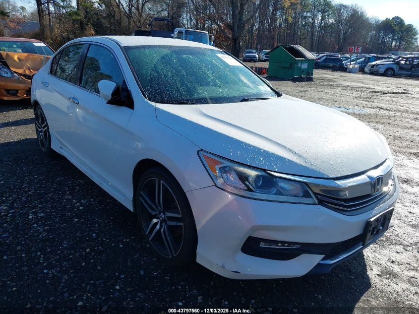 HONDA ACCORD SPORT SE