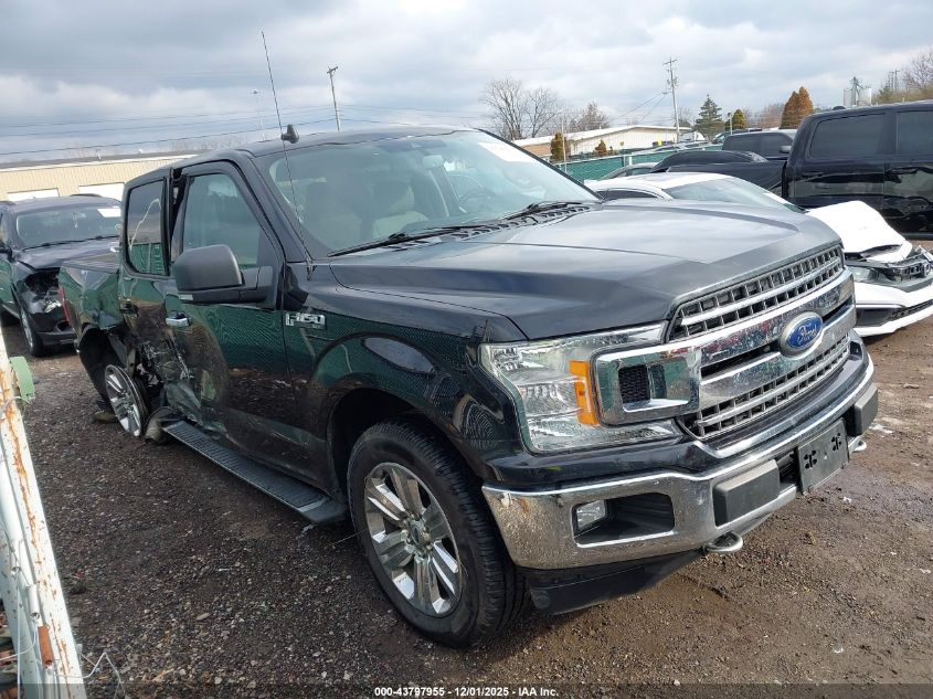 FORD F-150 XLT