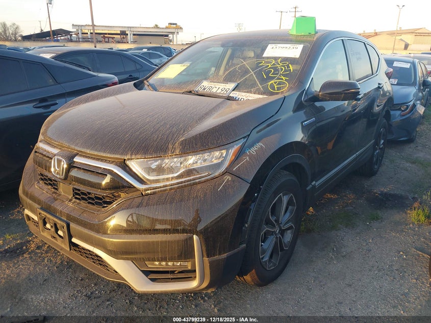 7FART6H84ME007170 2021 HONDA CR-V photo no. 2