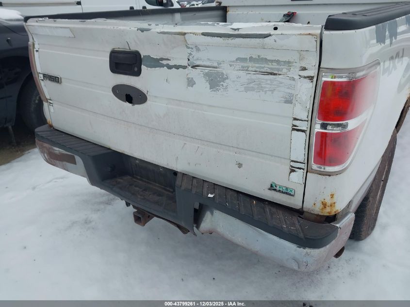 2010 Ford F-150 Xl/Xlt VIN: 1FTNF1EV1AKE63074 Lot: 43799261