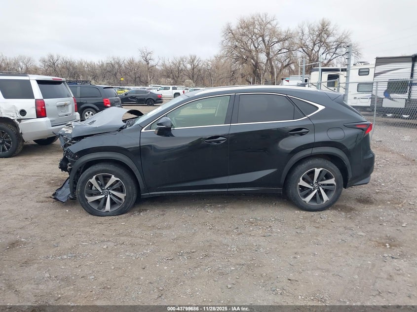 2020 Lexus Nx 300 VIN: JTJGARBZ0L5013718 Lot: 43799686