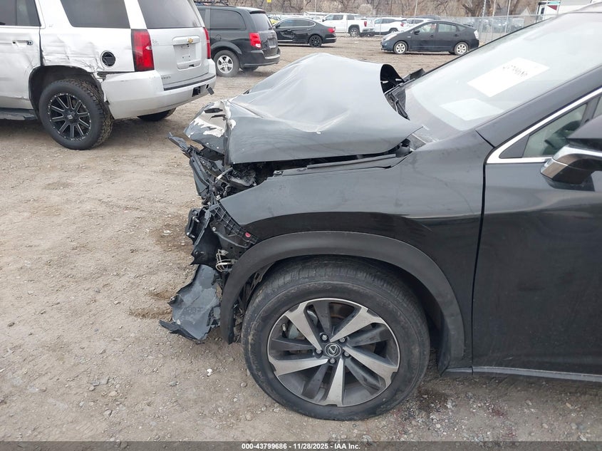 2020 Lexus Nx 300 VIN: JTJGARBZ0L5013718 Lot: 43799686