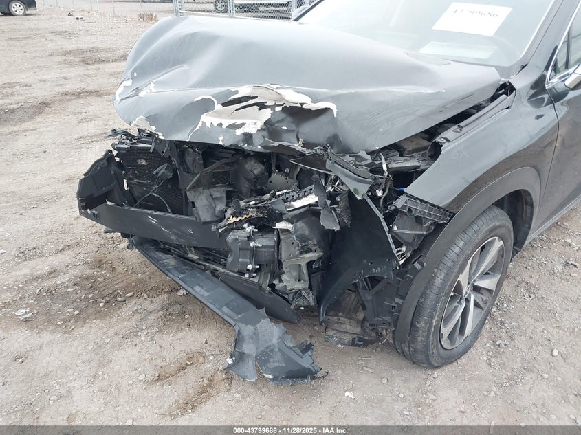 2020 Lexus Nx 300 VIN: JTJGARBZ0L5013718 Lot: 43799686