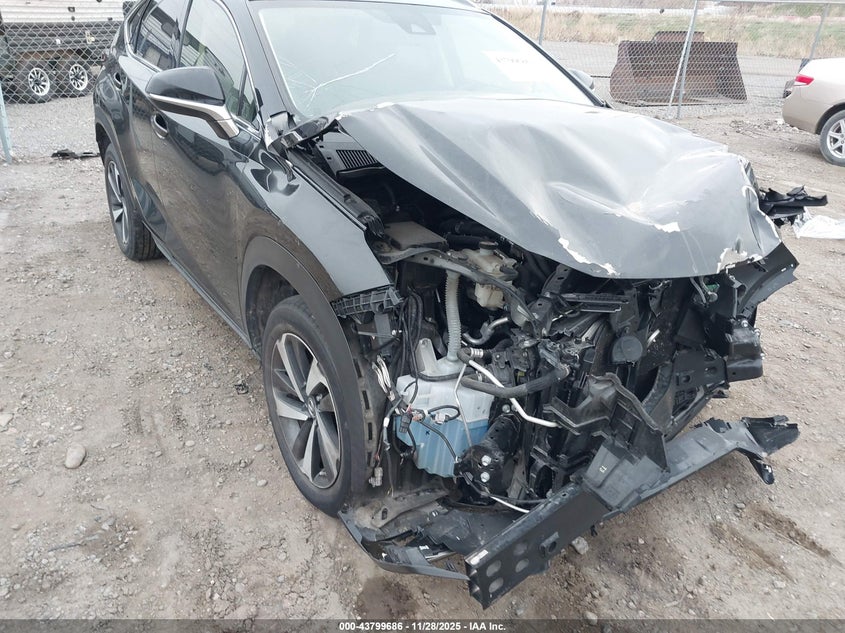 2020 Lexus Nx 300 VIN: JTJGARBZ0L5013718 Lot: 43799686