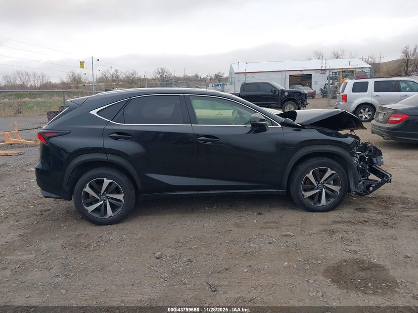 2020 Lexus Nx 300 VIN: JTJGARBZ0L5013718 Lot: 43799686