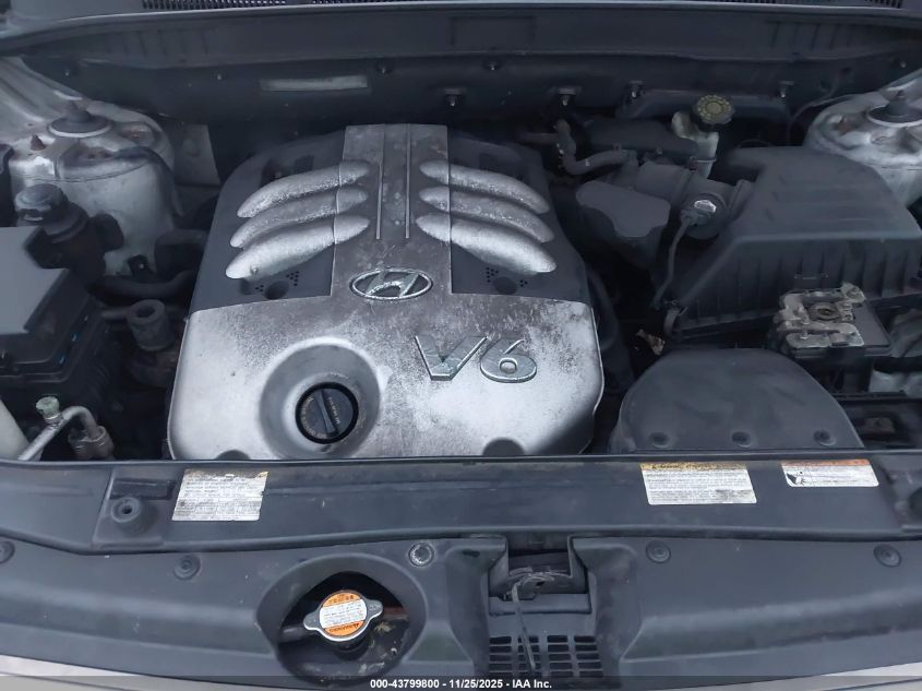 2007 Hyundai Veracruz Gls/Limited/Se VIN: KM8NU13C57U027098 Lot: 43799800