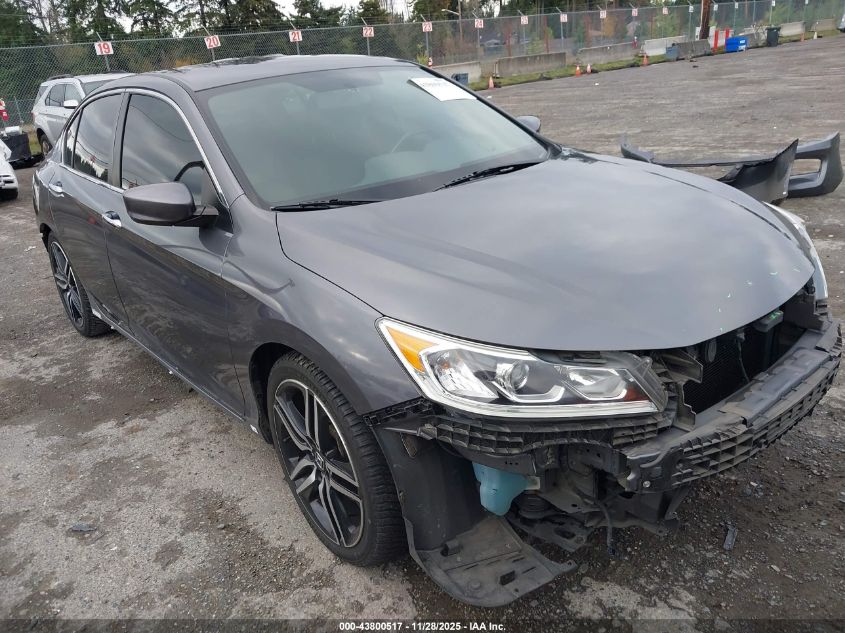 HONDA ACCORD SPORT SE