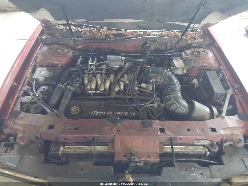 1997 Lincoln Continental VIN: 1LNLM97V3VY650906 Lot: 43800808