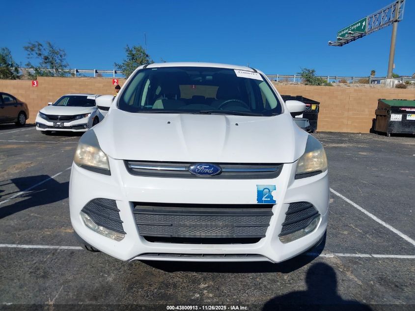 2014 Ford Escape Se VIN: 1FMCU0GX4EUB34204 Lot: 43800913