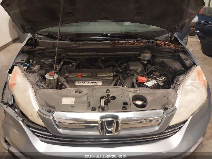 2007 Honda Cr-V Ex-L VIN: JHLRE38797C028841 Lot: 43801024