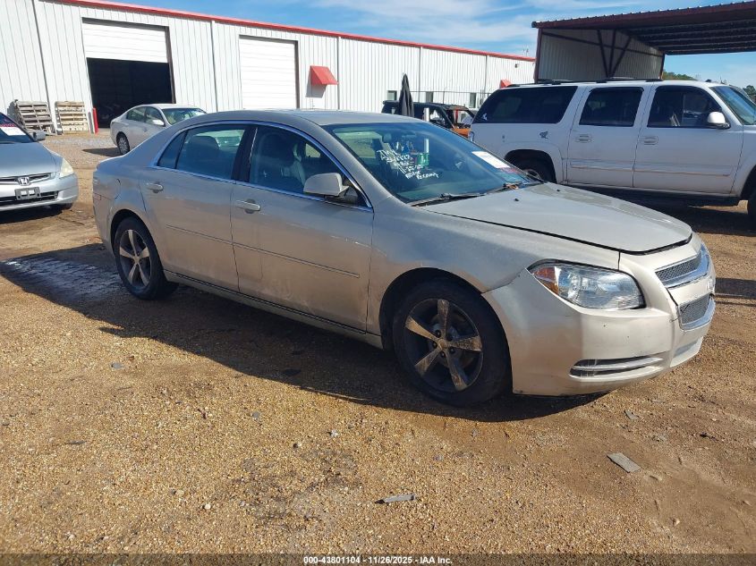 CHEVROLET MALIBU 1LT