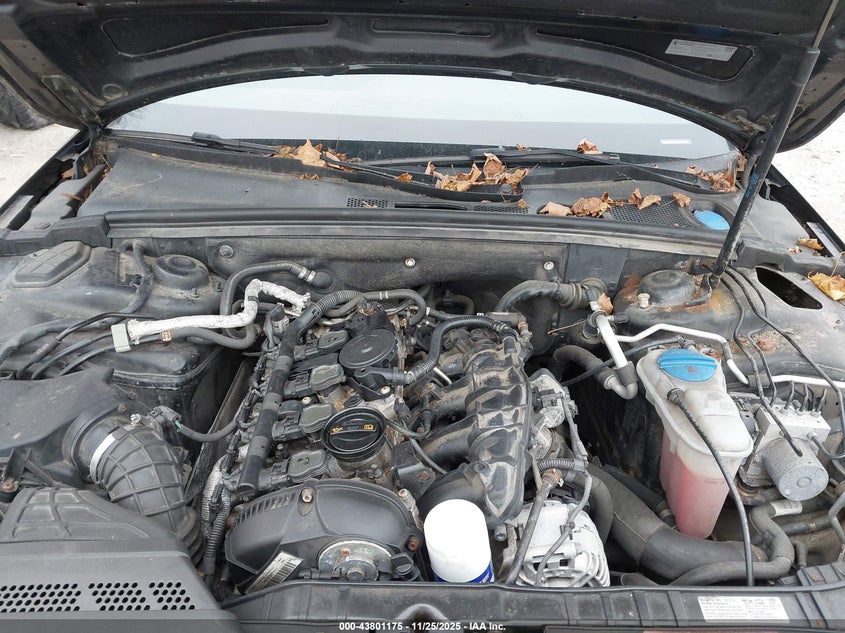 2009 Audi A4 2.0T Premium VIN: WAUSF78K59A089011 Lot: 43801175