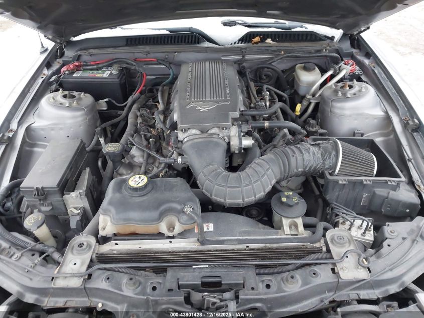 2007 Ford Mustang Gt Deluxe/Gt Premium VIN: 1ZVFT82H475325702 Lot: 43801428