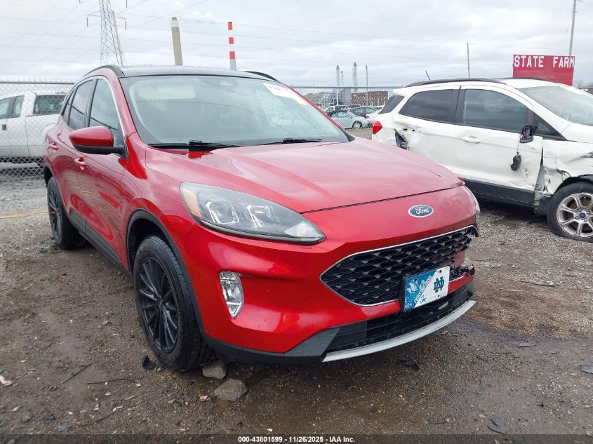 FORD ESCAPE SEL