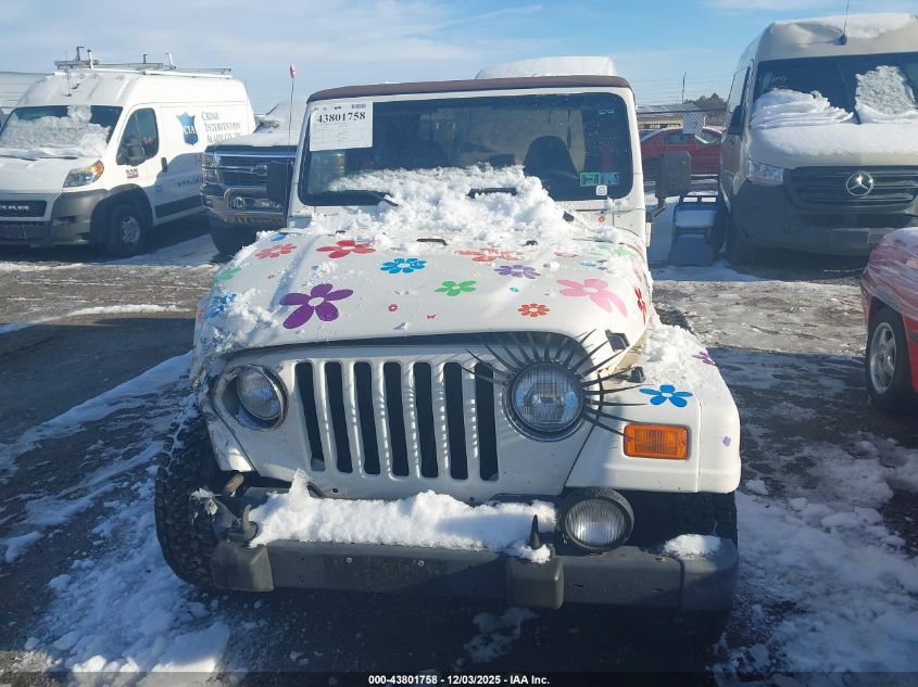 2001 Jeep Wrangler Sahara VIN: 1J4FA59S81P329718 Lot: 43801758