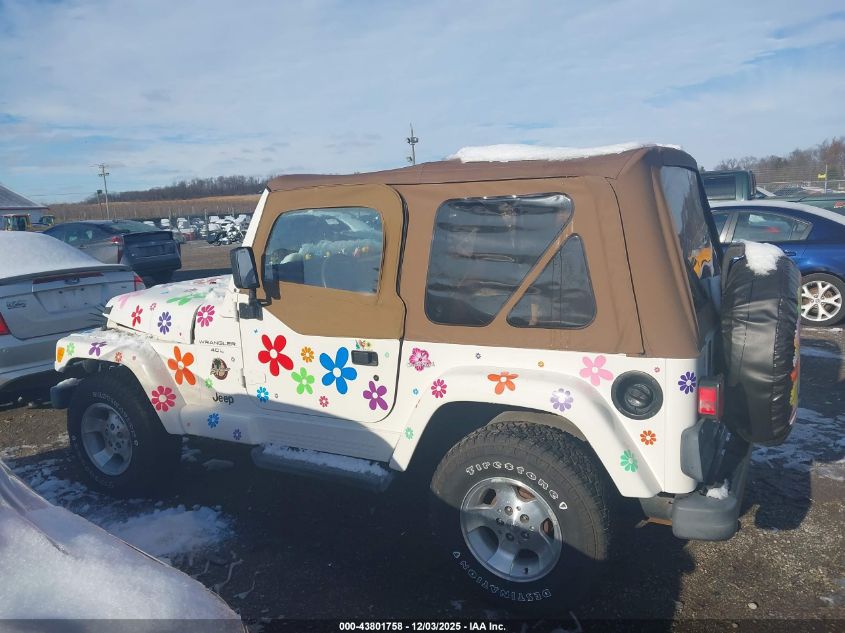 2001 Jeep Wrangler Sahara VIN: 1J4FA59S81P329718 Lot: 43801758