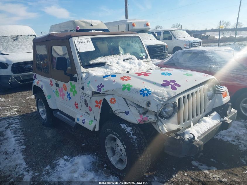 2001 Jeep Wrangler Sahara VIN: 1J4FA59S81P329718 Lot: 43801758