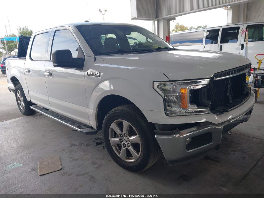 FORD F-150 XLT
