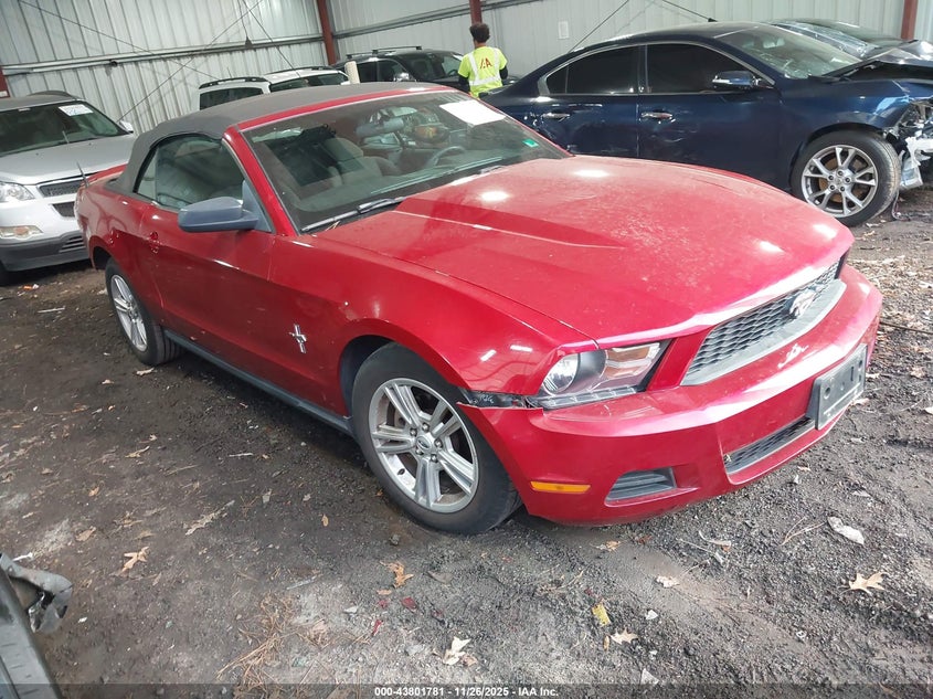 FORD MUSTANG V6/V6 PREMIUM