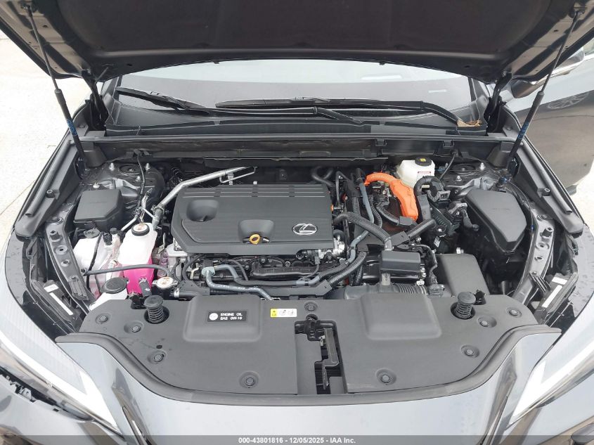 2026 Lexus Nx VIN: 2T2GKCEZ4TC060225 Lot: 43801816