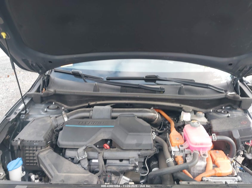 2023 Kia Sportage Hybrid Ex VIN: KNDPVCAG4P7067778 Lot: 43801894