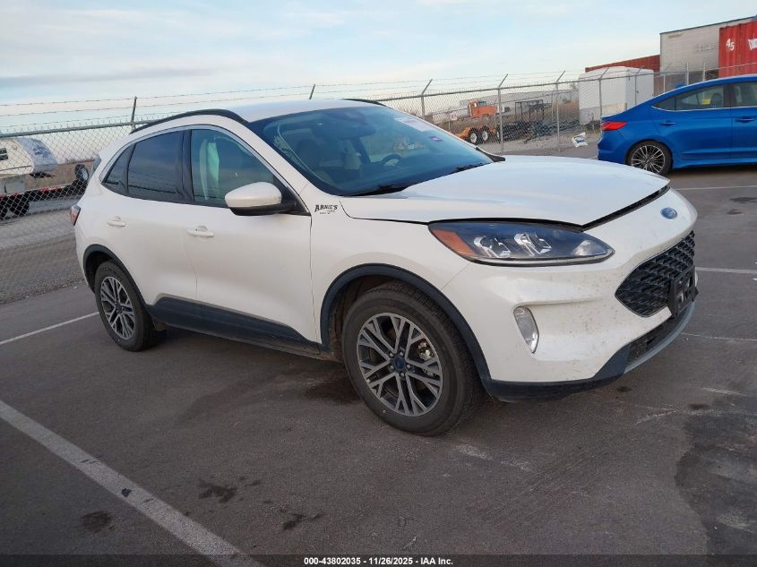 FORD ESCAPE SEL