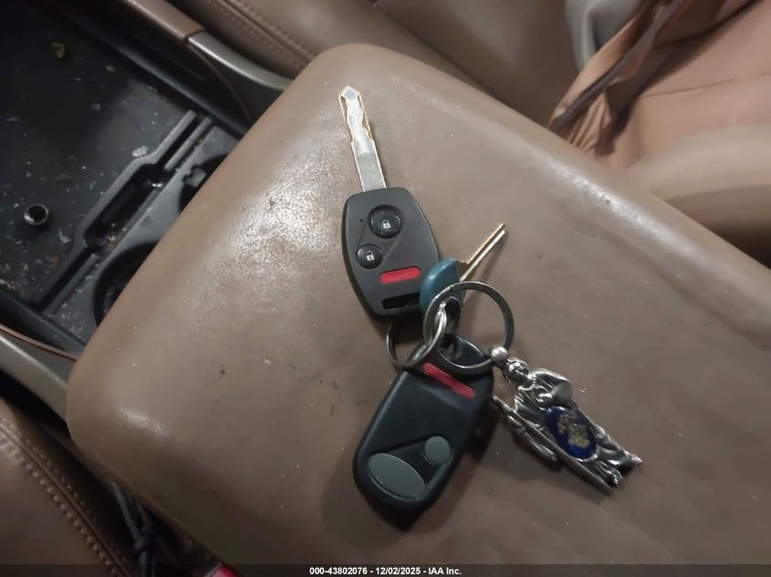 2005 Honda Pilot Ex-L VIN: 5FNYF18635B062551 Lot: 43802076