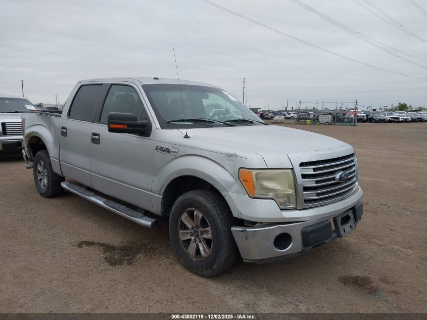 FORD F-150 XLT