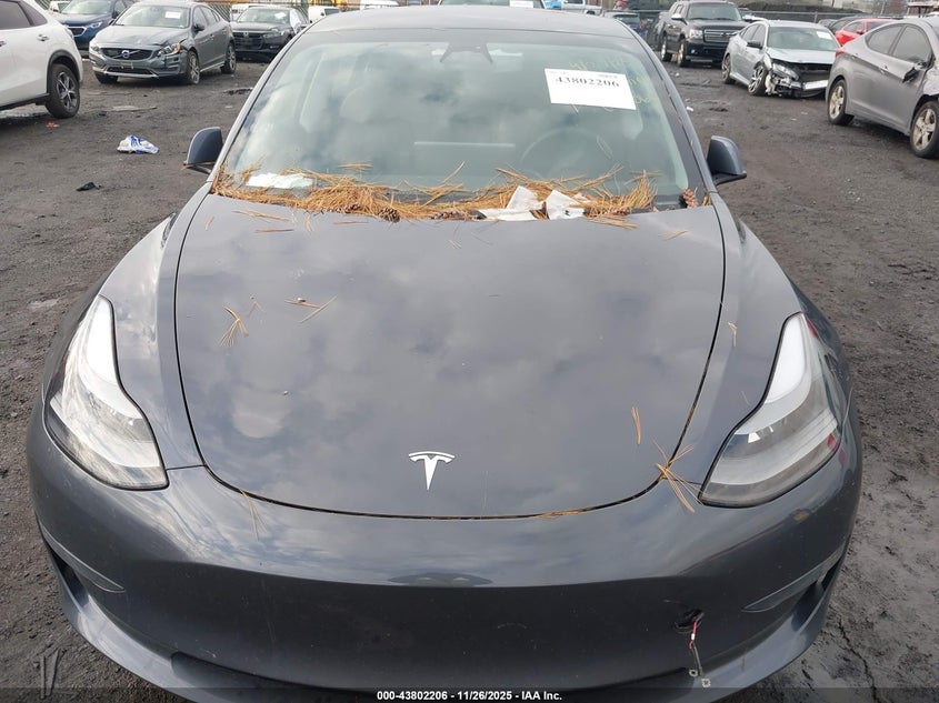 2023 Tesla Model 3 Rear-Wheel Drive VIN: 5YJ3E1EAXPF692060 Lot: 43802206