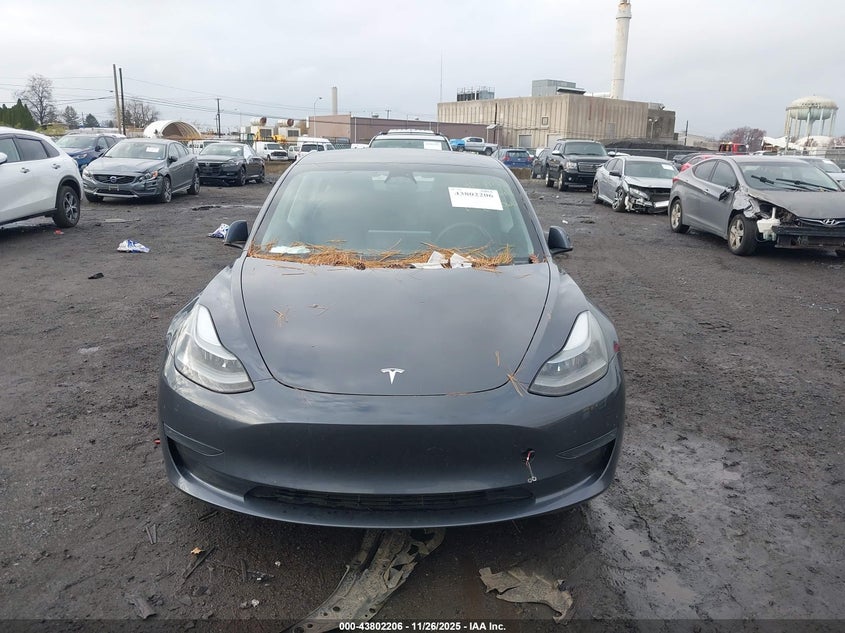2023 Tesla Model 3 Rear-Wheel Drive VIN: 5YJ3E1EAXPF692060 Lot: 43802206