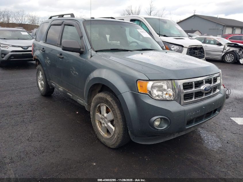 FORD ESCAPE XLT