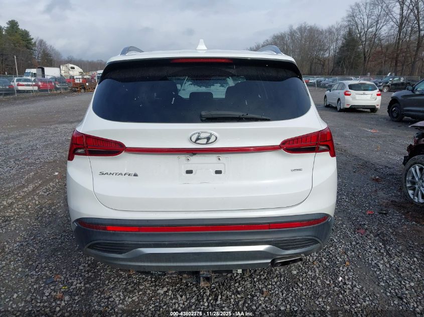 2021 Hyundai Santa Fe Sel VIN: 5NMS6DAJ9MH314323 Lot: 43802376