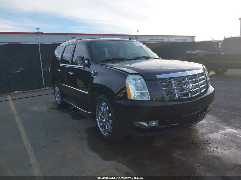 CADILLAC ESCALADE STANDARD