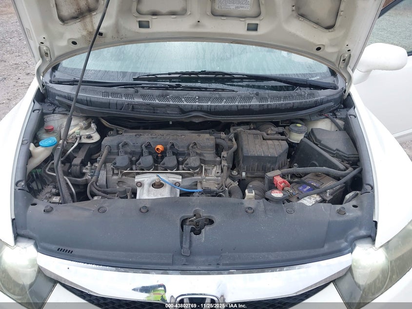 2009 Honda Civic Gx VIN: 1HGFA46559L000459 Lot: 43802769