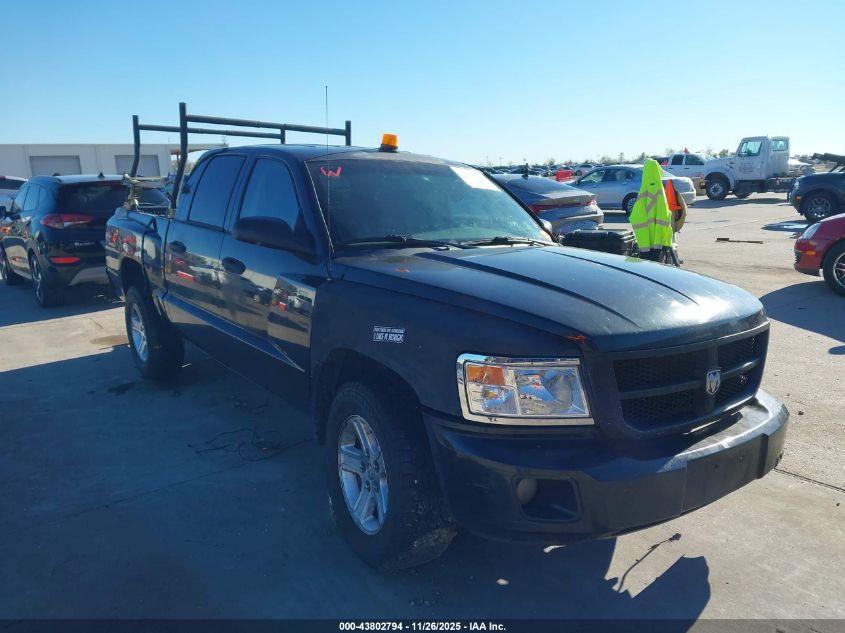 RAM DAKOTA BIGHORN/LONESTAR