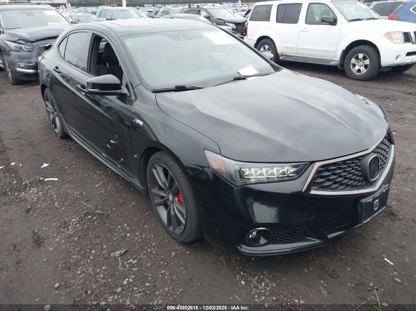 ACURA TLX TECH A-SPEC PKGS