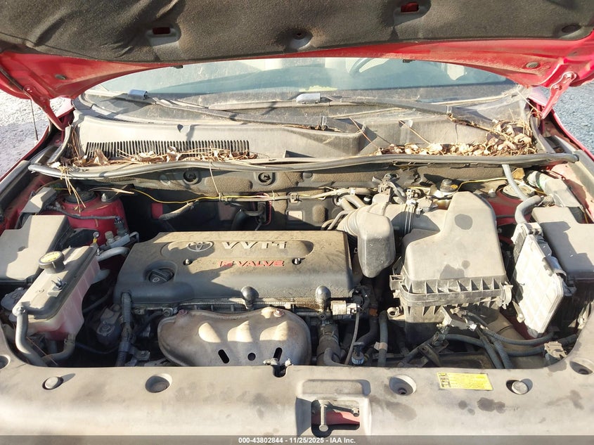 2008 Toyota Rav4 VIN: JTMZD33V986066298 Lot: 43802844