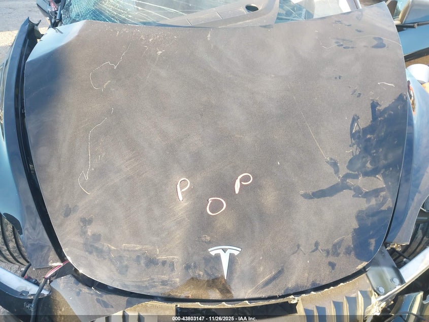 2023 Tesla Model 3 Performance Dual Motor All-Wheel Drive VIN: 5YJ3E1EC6PF584200 Lot: 43803147