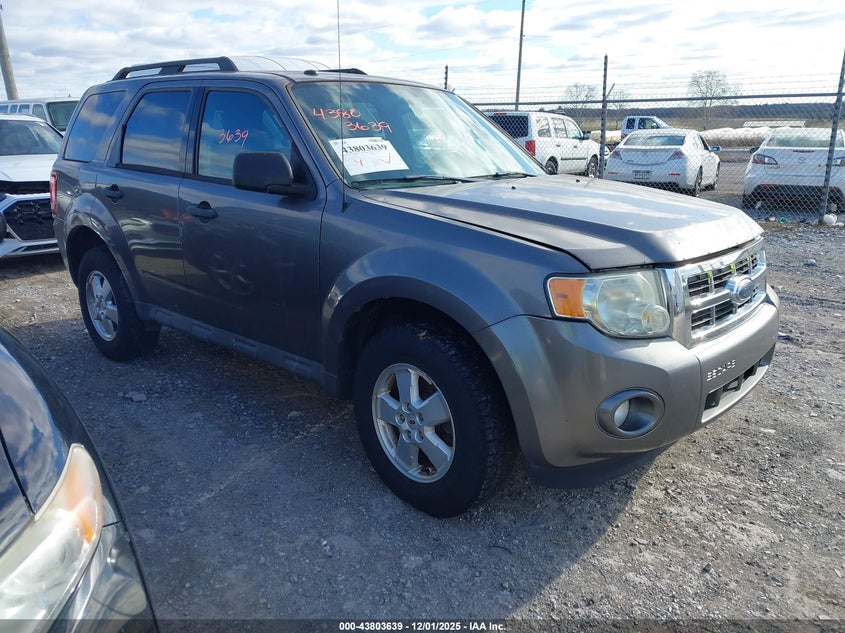 2009 FORD ESCAPE XLT