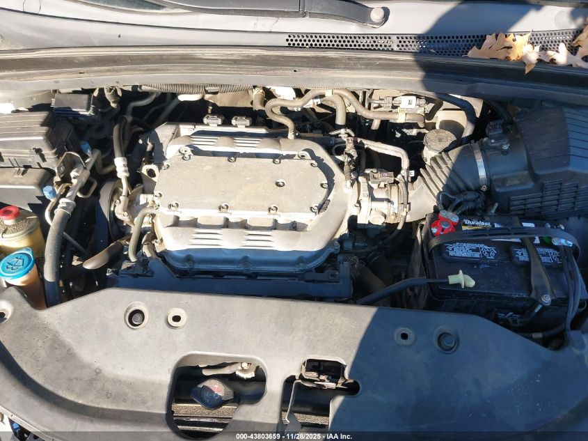 2009 Honda Odyssey Ex-L VIN: 5FNRL38769B026408 Lot: 43803659