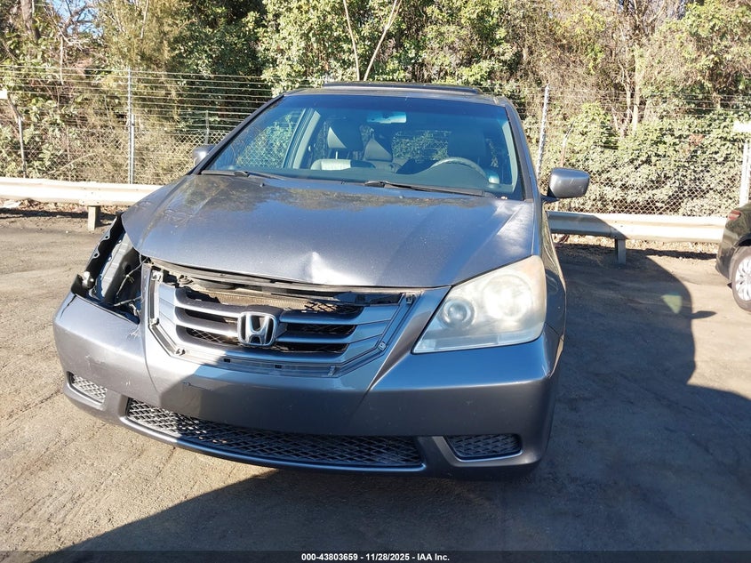 2009 Honda Odyssey Ex-L VIN: 5FNRL38769B026408 Lot: 43803659