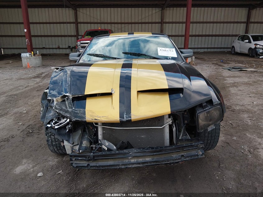 2006 Ford Mustang Gt VIN: 1ZVFT82H765247687 Lot: 43803714